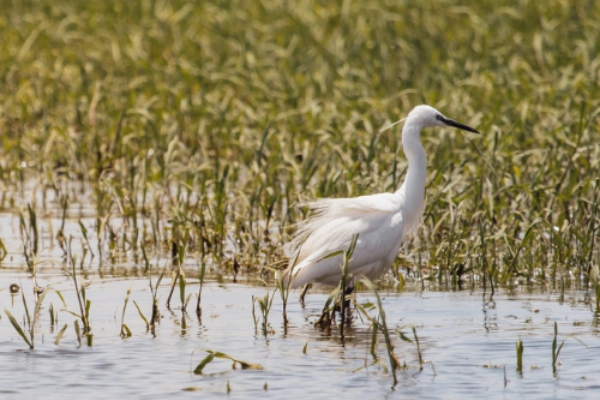 Unique Wildlife Experiences