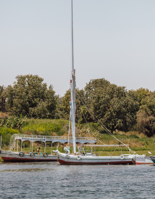 Felucca