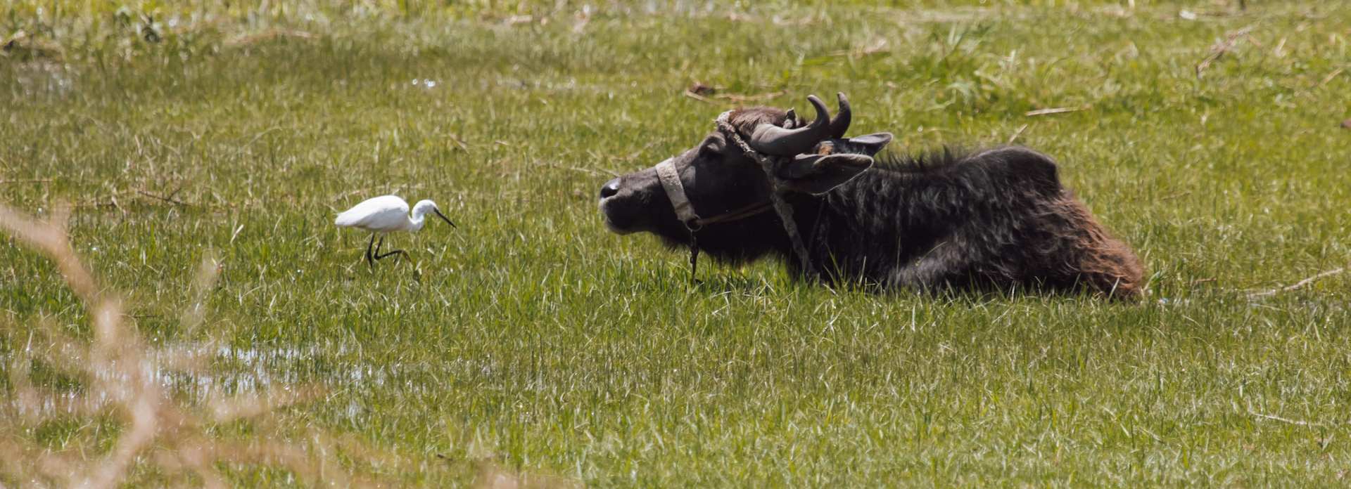 Unique Wildlife Experiences